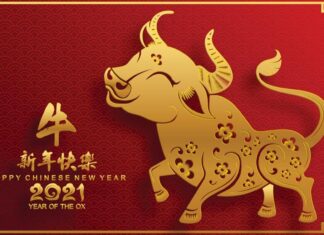 Feliz Ano Novo Chinês: Veja mais sobre o ano do Boi!