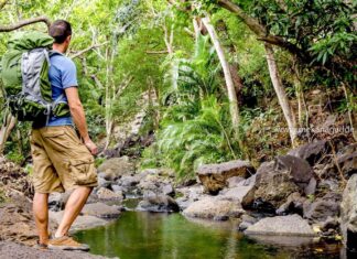 Turismo ecológico e viagens curtas serão tendência em 2021