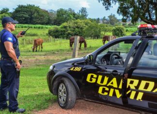 Câmara vota projeto de cooperação entre as GCMs de RC e Limeira