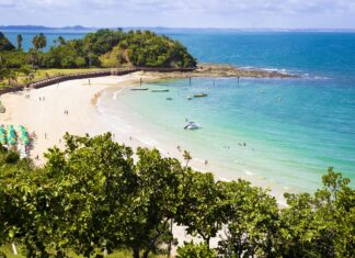 Conheça a Ilha dos Frades, paraíso isolado em Salvador