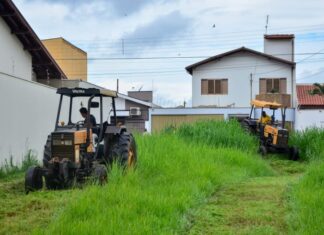 Proprietários têm até terça-feira para limparem terrenos baldios