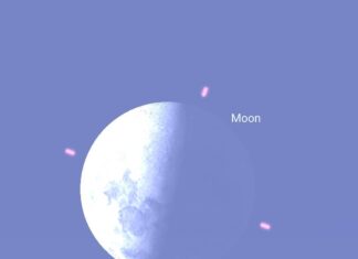 Lua atinge a fase de primeira quadratura no seu apogeu