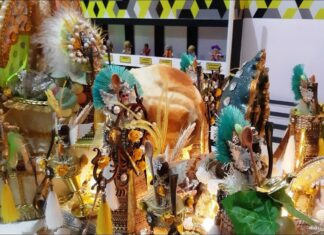 Carnaval 2021: Confira as atrações que vão agitar o feriado dentro de casa