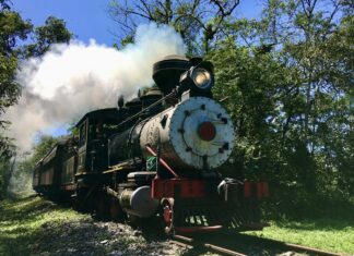 Turismo responsável: três viagens de trem para realizar entre Curitiba e Morretes