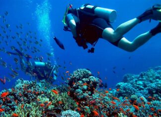 Turismo subaquático: 5 lugares incríveis para mergulhar no Brasil