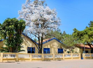 Museu Casa de Portinari oferece atividades no fim de semana Museus estaduais oferecem programação especial de férias