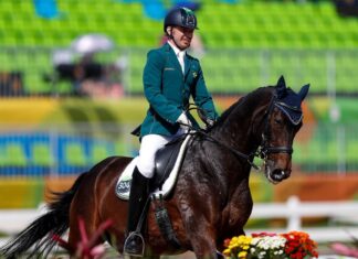 Paralimpíada: Rodolpho Riskalla é campeão em provas de adestramento