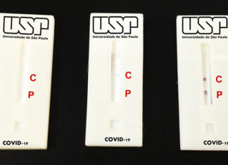USP desenvolve teste rápido de covid-19 para testagem em massa Teste Covid-19 da USP