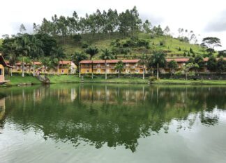 Turismo de café atrai visitantes e vira opção para passeios seguros