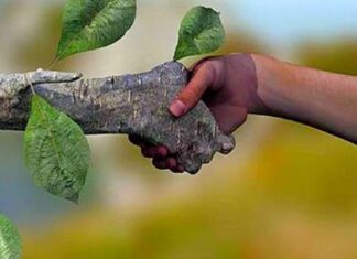 Sabinadas: Que me importa a ecologia?