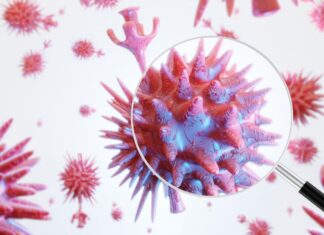 OMS diz ter encontrado possível origem do novo coronavírus Coronavírus