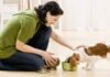 Você sabe o que é um um pet sitter e onde encontrar? Pet Sitter