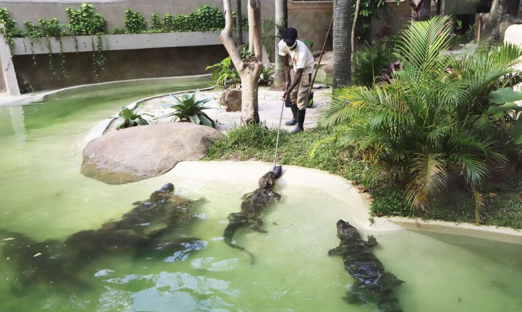 BioParque do Rio é nova opção de lazer e turismo sustentável para ...
