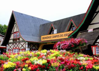 Brasil: cinco melhores cidades para fazer roteiros gastronômicos