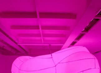 File Festival debate estratégias para preservar o patrimônio cultural digital