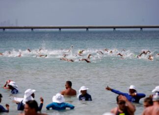 Maratona Aquática: seletiva para Pré-Olímpico será no dia 20 de março