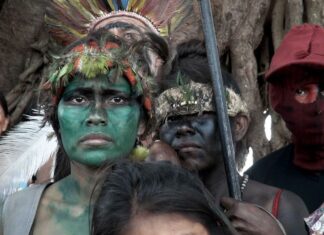 Plataforma para professores tem 130 filmes com temas socioambientais