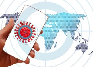 Fapesp: ferramenta online facilita monitoramento da pandemia de Covid-19 no Brasil