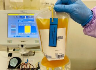 Governo cria rede de transfusão de plasma para o tratamento de pacientes com Covid-19