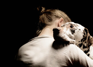 A rotina dos humanos pode afetar a saúde mental dos pets