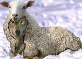 Os cinco signos mais cruéis e selvagens do zodíaco