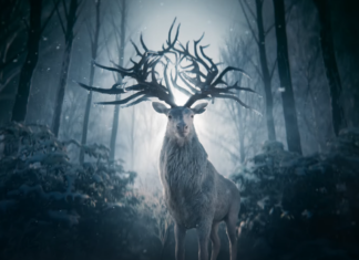 Sombra e Ossos: elenco fala que série da Netflix irá surpreender os fãs