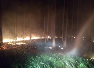 Defesa Civil e Corpo de Bombeiros combatem incêndio na FEENA