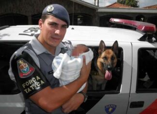 Laudo pericial mostra que disparo efetuado por criminoso ocasionou travamento da arma do CB PM Tom