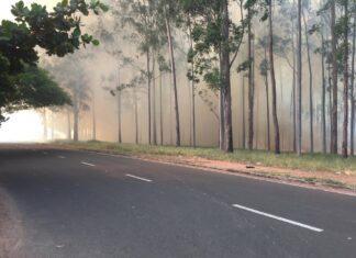 Guarda Civil presta apoio a Bombeiros em incêndio na Feena