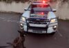 Cão Argos do Canil da GCM localiza drogas no Jd. Novo II
