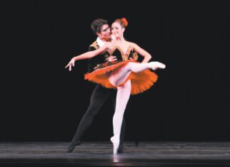 São Paulo Cia. de Dança apresenta espetáculo virtual para estudantes e professores