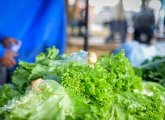 Feiras livres de RC são realizadas aos sábados, domingos, terças e sextas