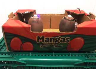 Pesquisadores criam sensores que avaliam qualidade das frutas de forma não destrutiva