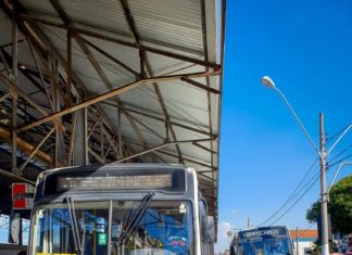 Ônibus do transporte coletivo voltam a circular a partir das 6h desta segunda-feira