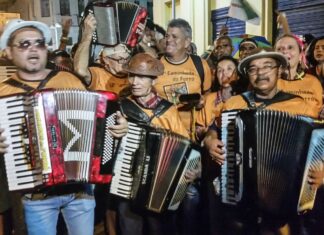Lei que cria o Dia Nacional do Sanfoneiro é sancionada