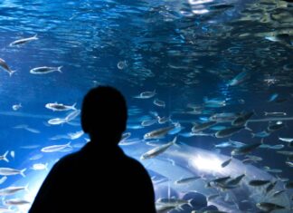 Em crianças, Covid-19 pode apresentar sintomas diferentes, diz USP Projeto que leva crianças a museus é retomado de forma virtual no Rio