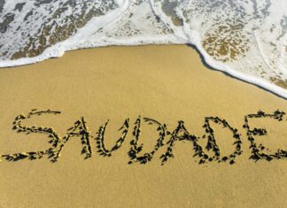 Memória Hilst: Saudade Memória Hilst: Saudade