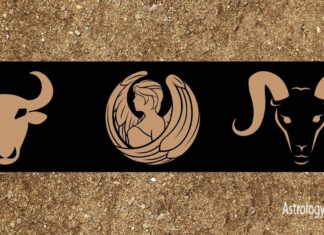 Signos da terra: confira quatro traços menos conhecidos sobre eles Signos da Terra