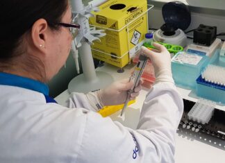 Estado fará testes gratuitos de paternidade Estado fará testes gratuitos de paternidade