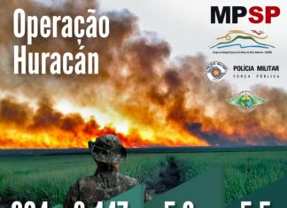 PM Ambiental e MPSP vistoriam mais de 800 propriedades rurais durante Operação Huracán