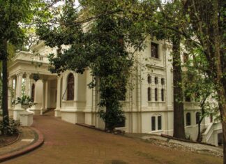 Semana de Museus terá atividades diversas em espaços culturais de SP Semana de Museus terá atividades diversas