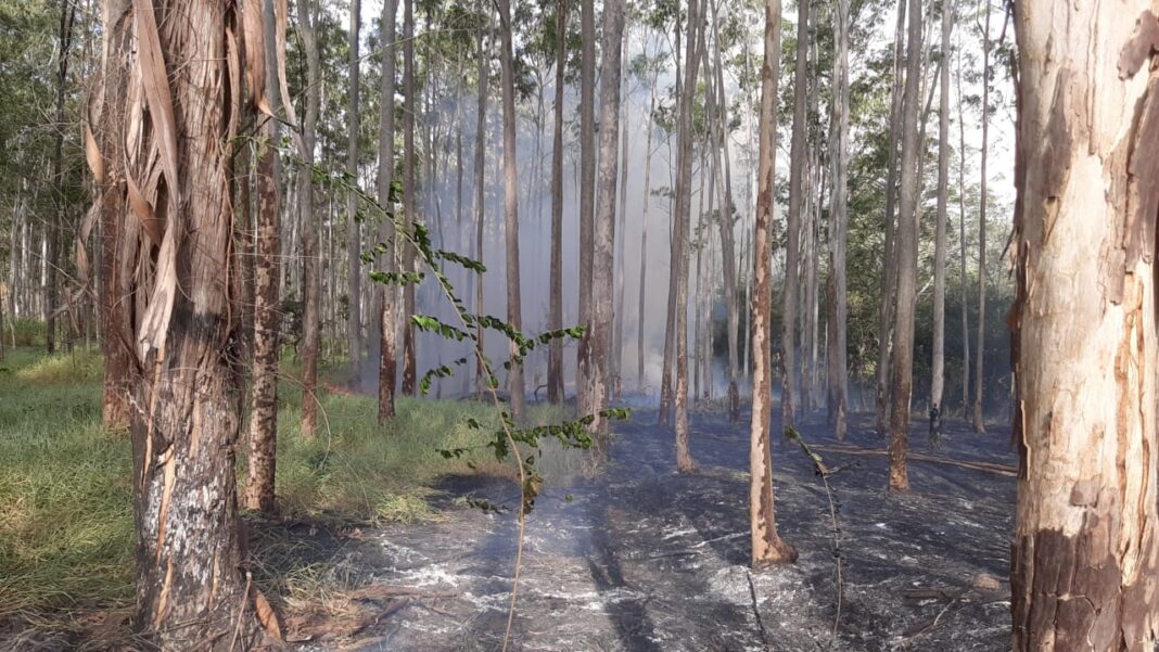 Incêndio é registrado na FEENA nesta sexta