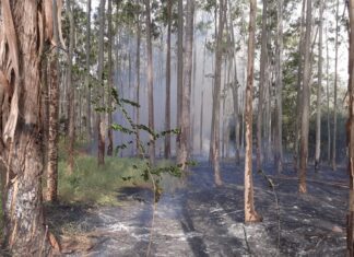 Incêndio é registrado na FEENA nesta sexta Incêndio é registrado na FEENA nesta sexta