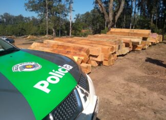 Polícia Ambiental apreende carga de madeira sem licença em RC Polícia Ambiental apreende carga de madeira sem licença em RC