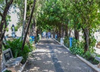 Prevenção à dengue será realizada domingo em cemitérios de Rio Claro