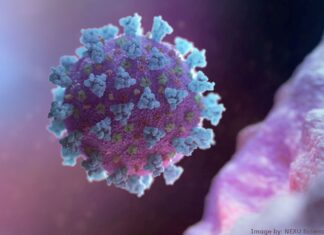 Rio Claro chega a 394 óbitos por Covid-19 Rio Claro chega a 394 óbitos por Covid-19