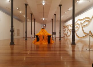 Pinacoteca de SP apresenta exposição com obras do artista José Damasceno