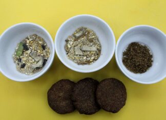 União Europeia aprova primeiro produto derivado de insetos para consumo humano