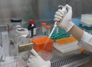 Rio de Janeiro identifica nova cepa do vírus em circulação no estado