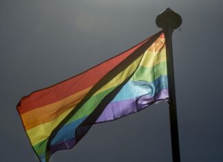 Parada do Orgulho LGBT+ ocorre neste domingo em São Paulo Parada do Orgulho LGBT+ ocorre neste domingo em São Paulo